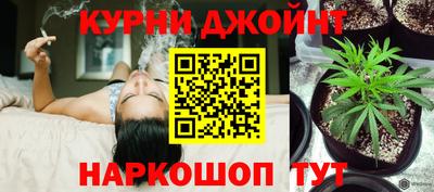 спиды Обь
