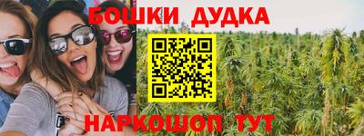 спиды Обь