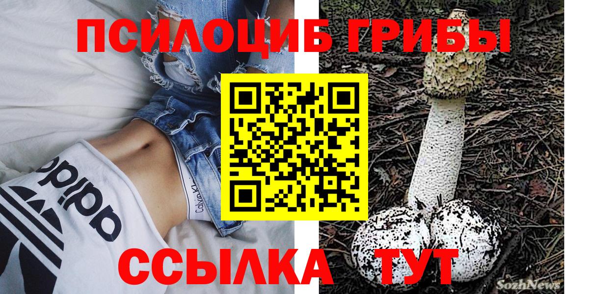 Псилоцибиновые грибы мицелий  Галлюциногенные грибы Psilocybe  Симферополь  Вход с VPN 
